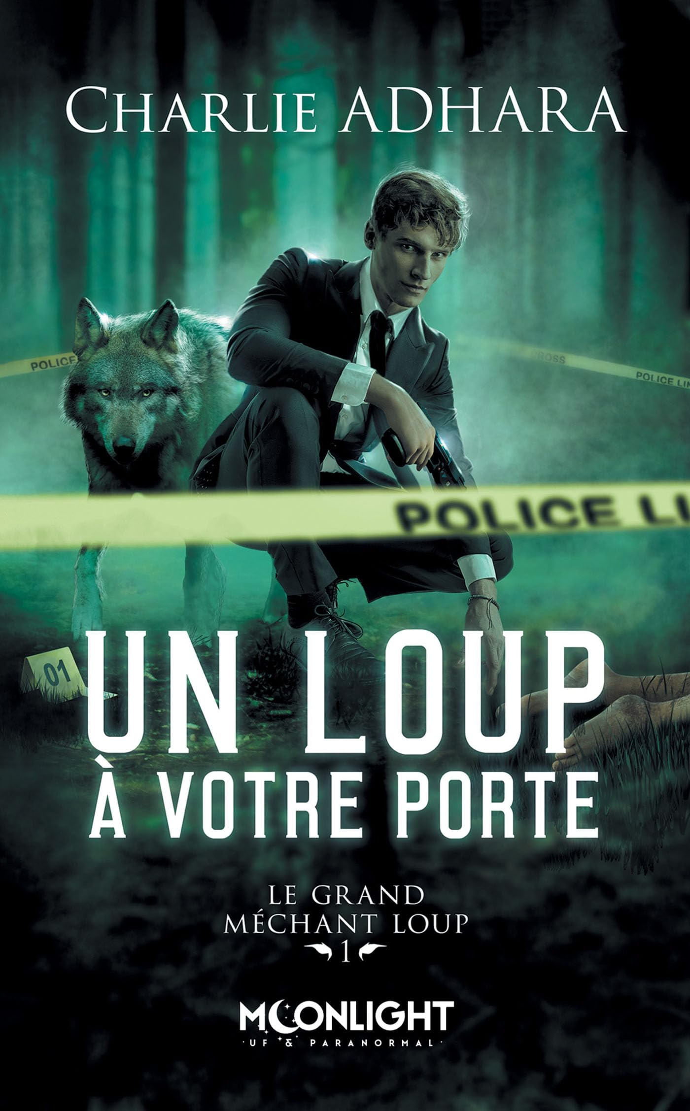 Un loup à votre porte : Le grand méchant loup 1