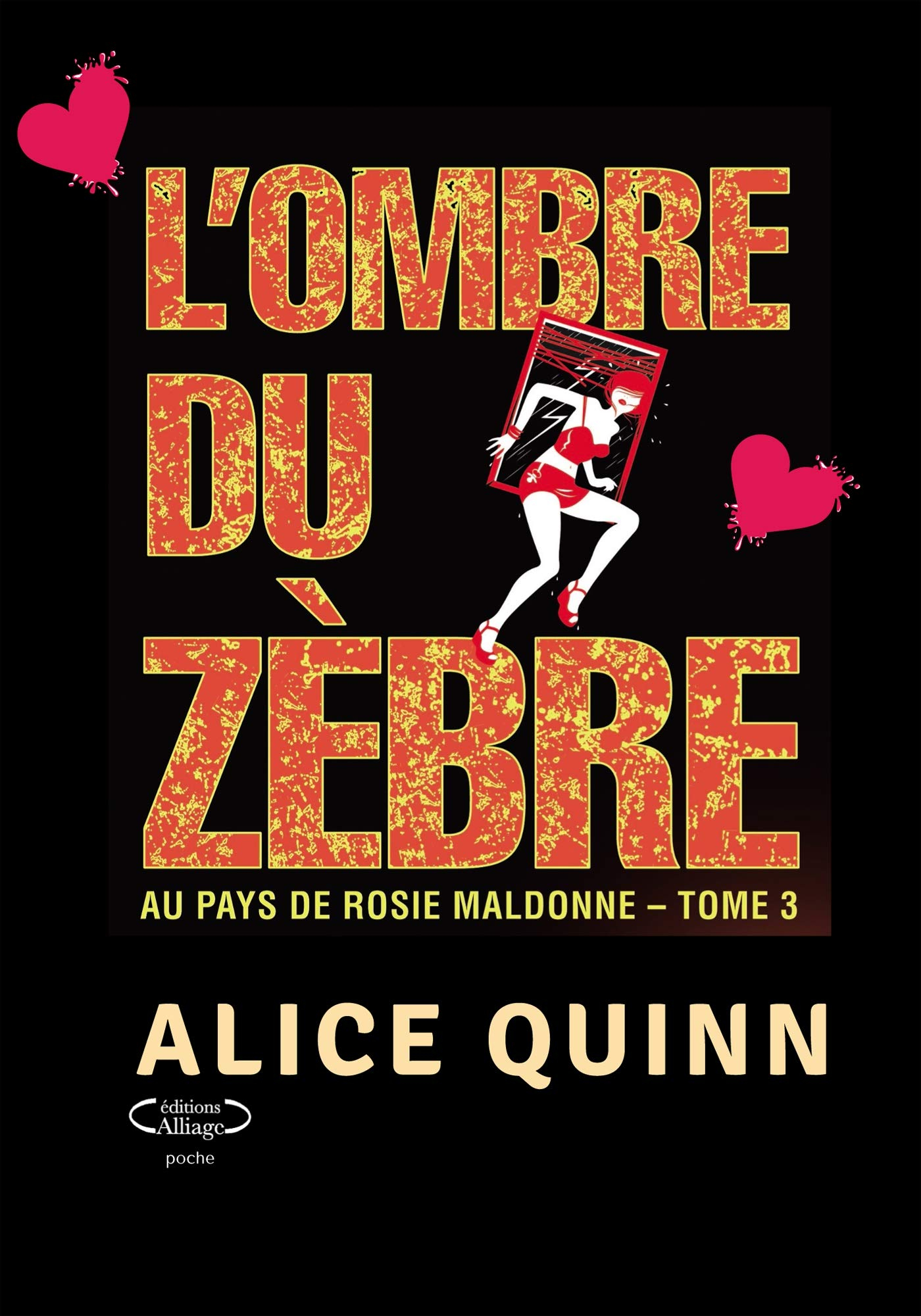 L'OMBRE DU ZEBRE