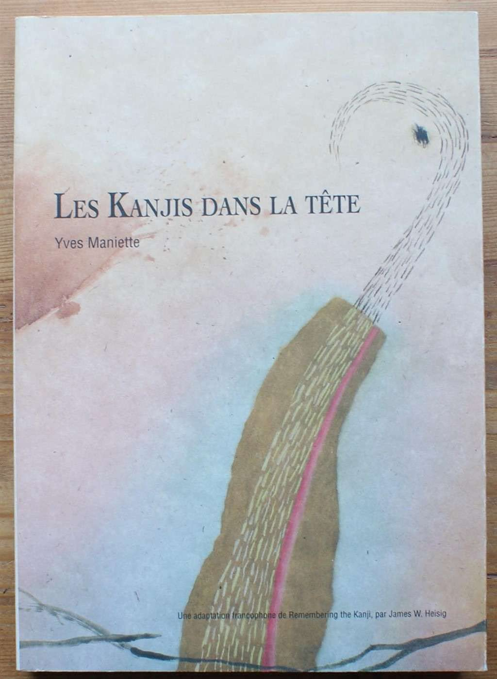 Les kanjis dans la tête : apprendre à ne pas oublier le sens et l'écriture des caractères japonais