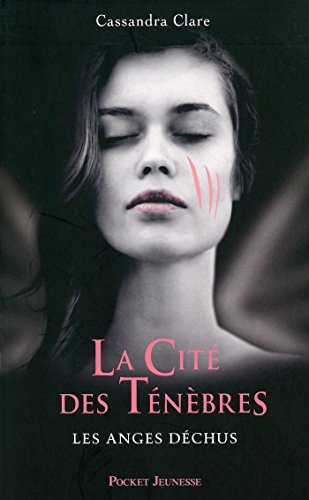 La Cité des ténèbres. Vol. 4. Les anges déchus