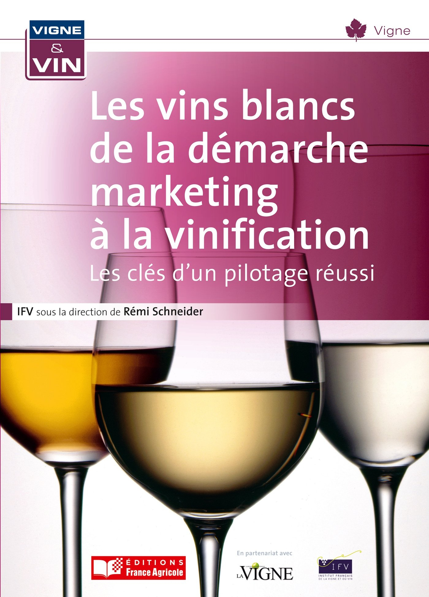 Les vins blancs de la démarche marketing à la vinification : les clés d'un pilotage réussi