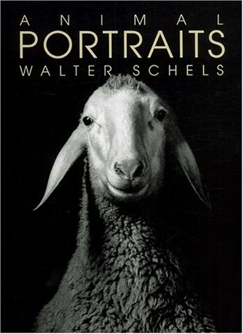 Animal portraits