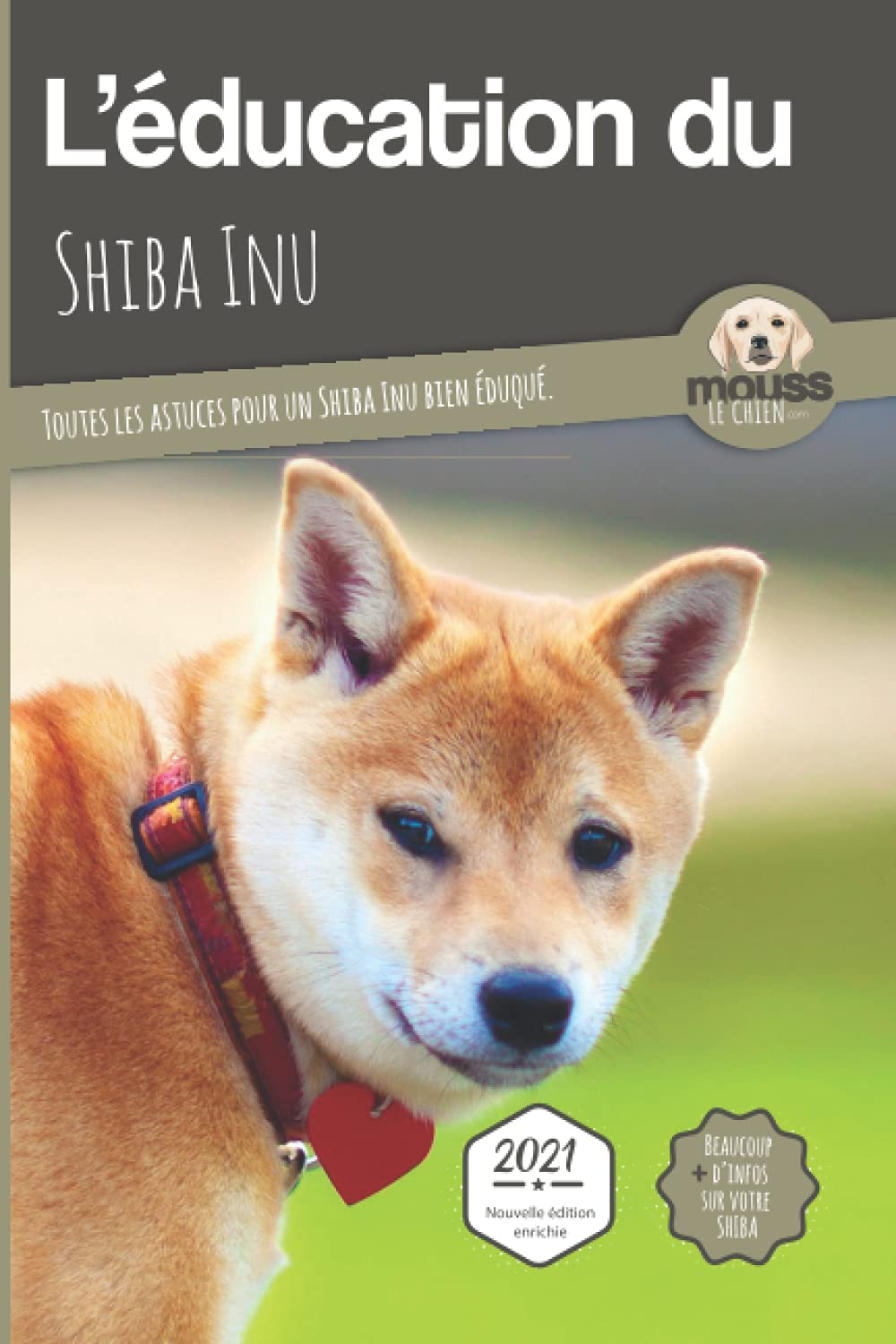 L'éducation du shiba inu : toutes les astuces pour un shiba inu bien éduqué : 2021