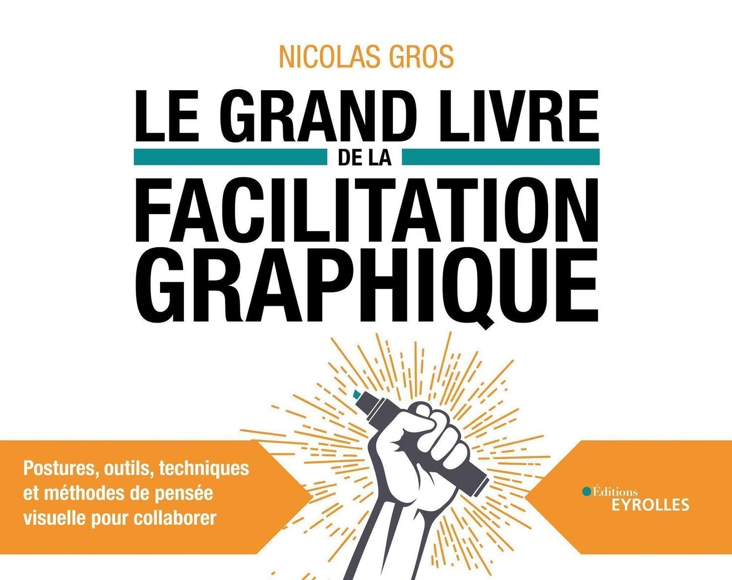 Le grand livre de la facilitation graphique : postures, outils, techniques et méthodes de pensée vis