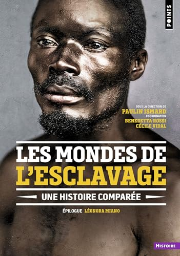 Les mondes de l'esclavage : une histoire comparée