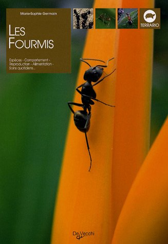 Les fourmis