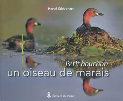 Petit bouchon, un oiseau de marais
