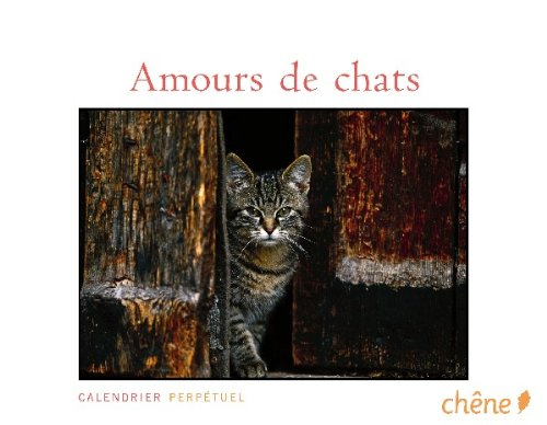Amours de chats : calendrier perpétuel