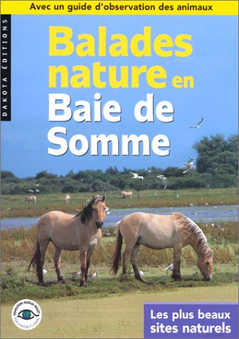 baie de somme 2000