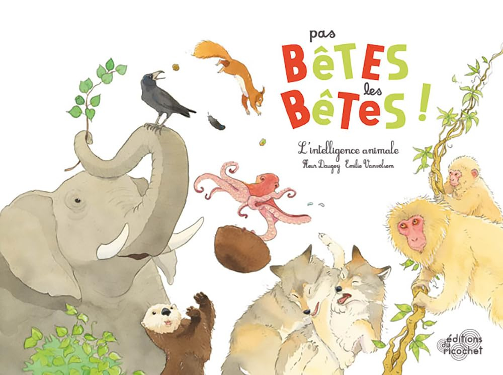 Pas bêtes les bêtes ! : l'intelligence animale