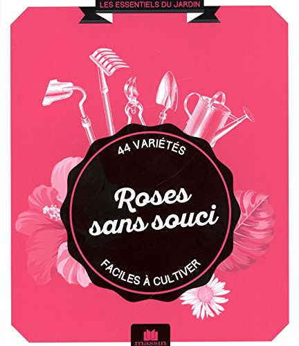 Roses sans souci : 44 variétés faciles à cultiver