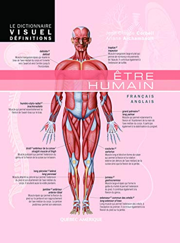 Êtr e humain : français/anglais