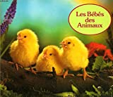 DEUX PETITS CHIENS ET LEURS AMIS
