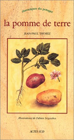La pomme de terre