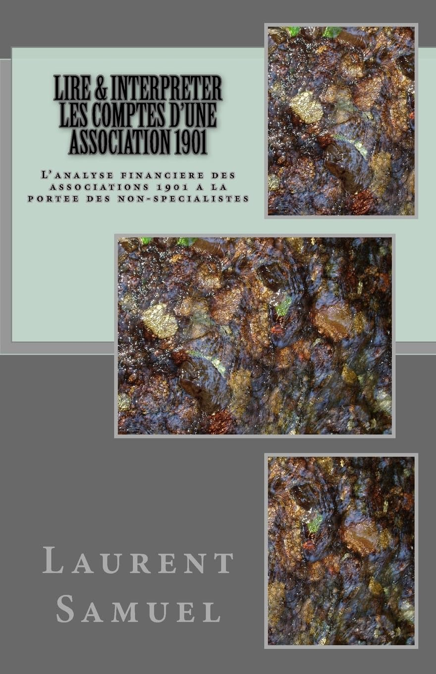Lire & interpreter les comptes d'une association 1901: L'analyse financiere des associations 1901 a 