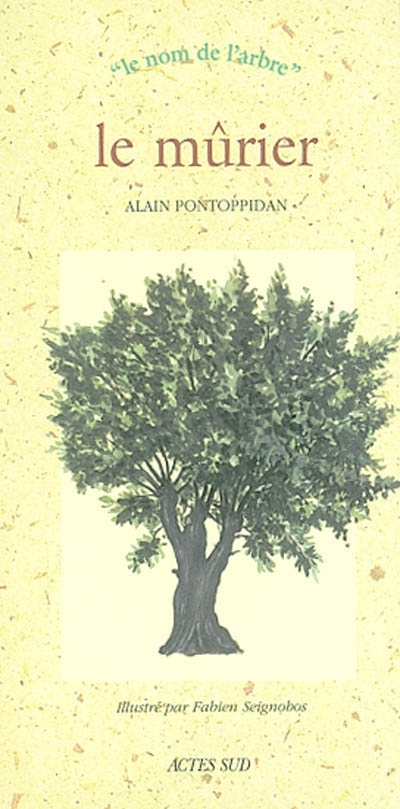 Le mûrier