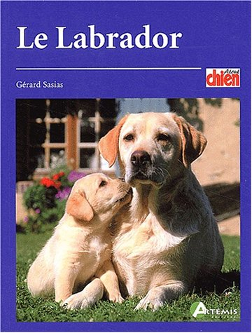 Le labrador
