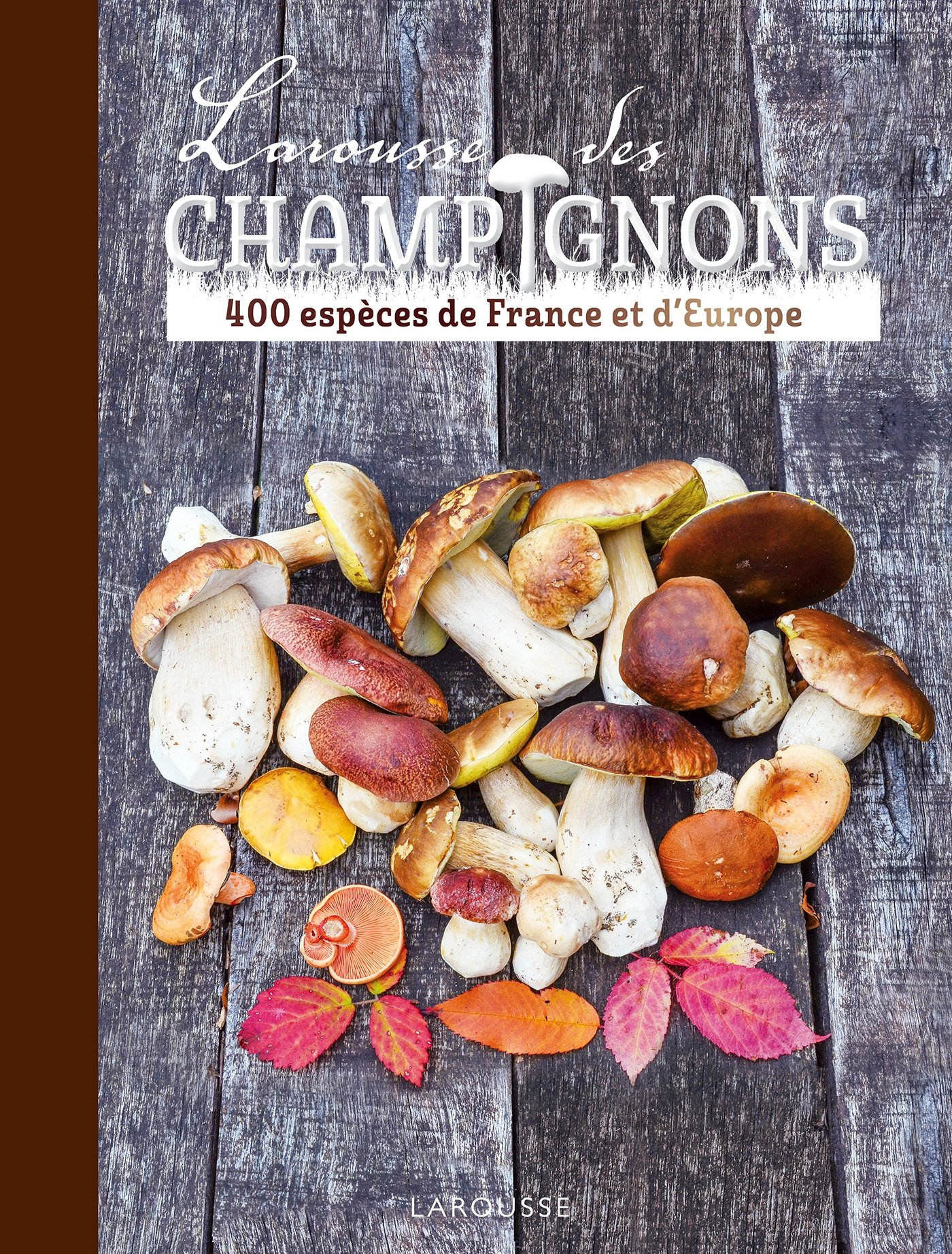 Larousse des champignons : 400 espèces de France et d'Europe