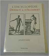 anatomie