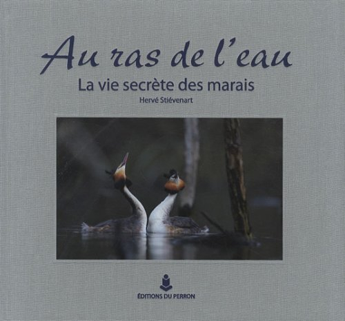 Au ras de l'eau : la vie secrète des marais
