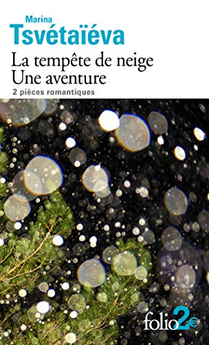 La tempête de neige. Une aventure : 2 pièces romantiques
