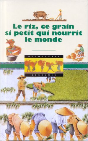 Le riz, ce grain si petit qui nourrit le monde