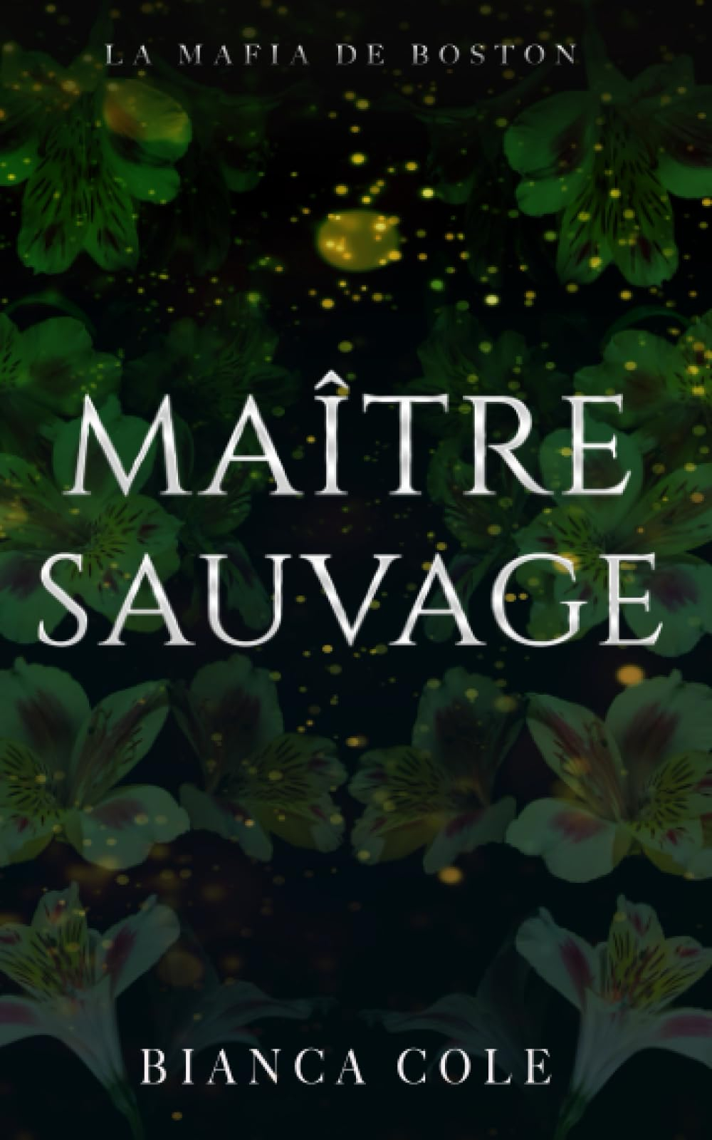 Maître Sauvage: Une romance sombre mafia