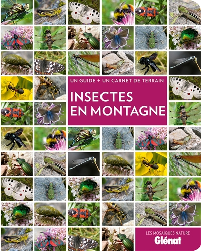 Insectes en montagne