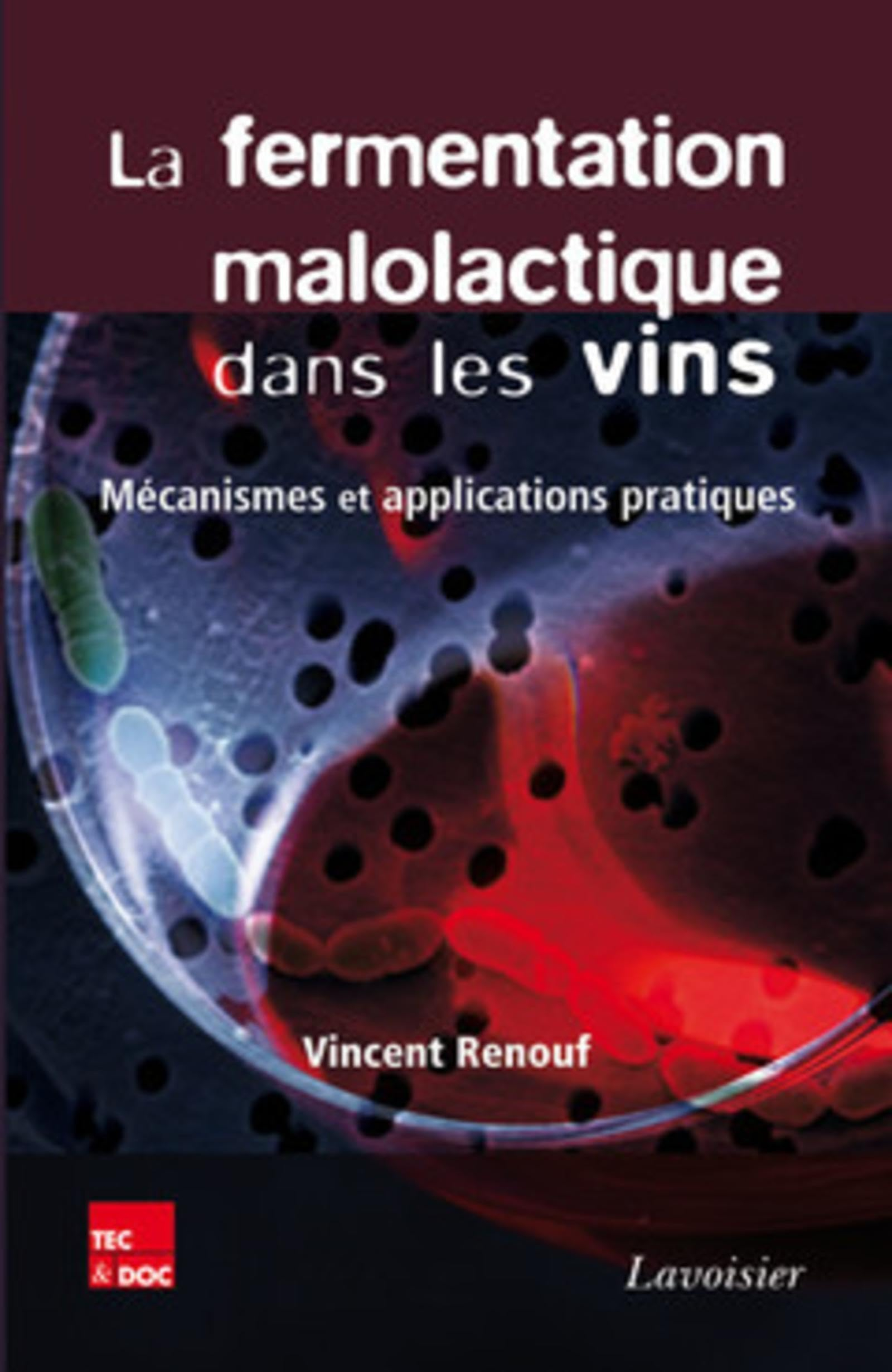 La fermentation malolactique dans les vins : mécanismes et applications pratiques