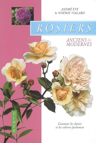 Rosiers : anciens et modernes : comment les choisir et les cultiver facilement
