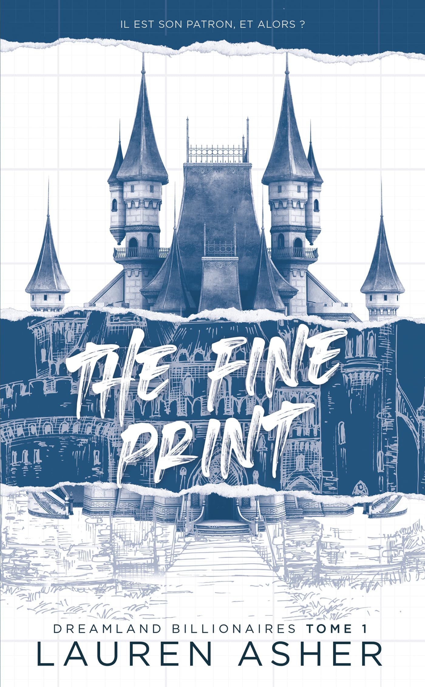 Dreamland billionaires. Vol. 1. The fine print