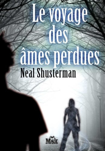 La trilogie des Illumières. Vol. 2. Le voyage des âmes perdues