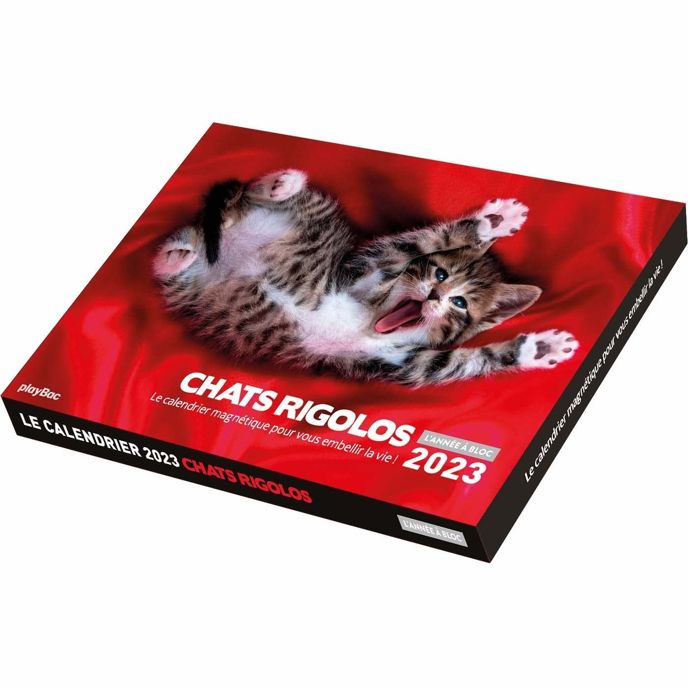 Chats rigolos : le calendrier magnétique pour vous embellir la vie ! : 2023