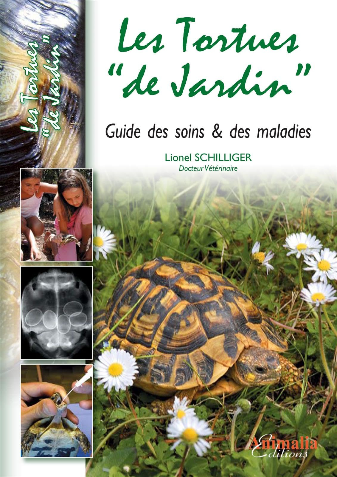 Les tortues de jardin - Maladies