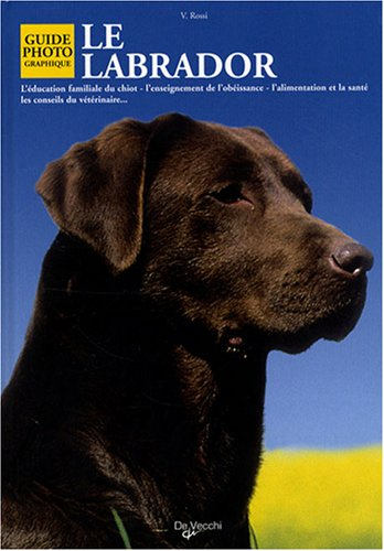 Le labrador