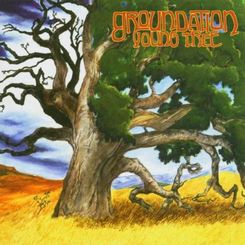 young tree [import allemand]