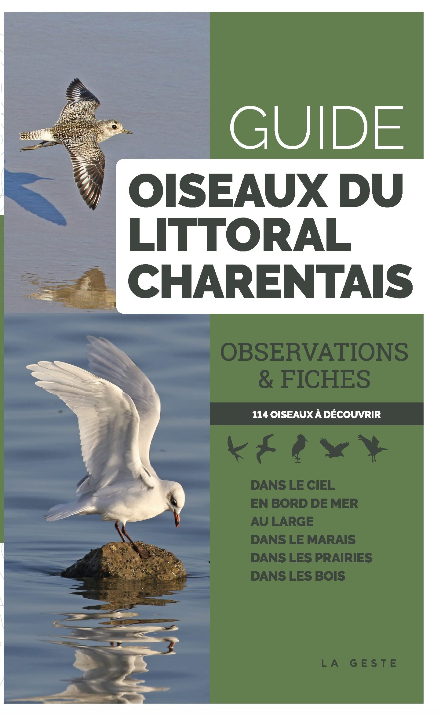 Oiseaux du littoral charentais : observations & fiches : 114 oiseaux à découvrir