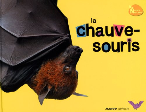 La chauve-souris