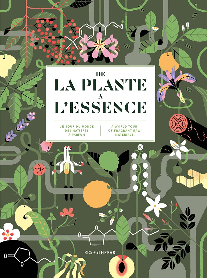 De la plante à l'essence : un tour du monde des matières à parfum. From plant to essence : a world t