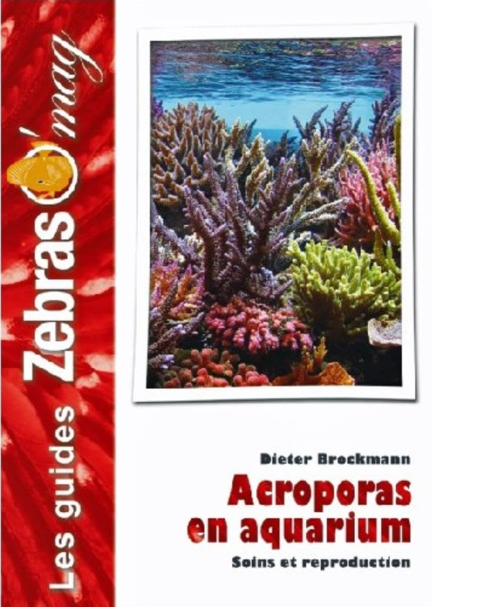 Acroporas en aquarium : soins et reproduction