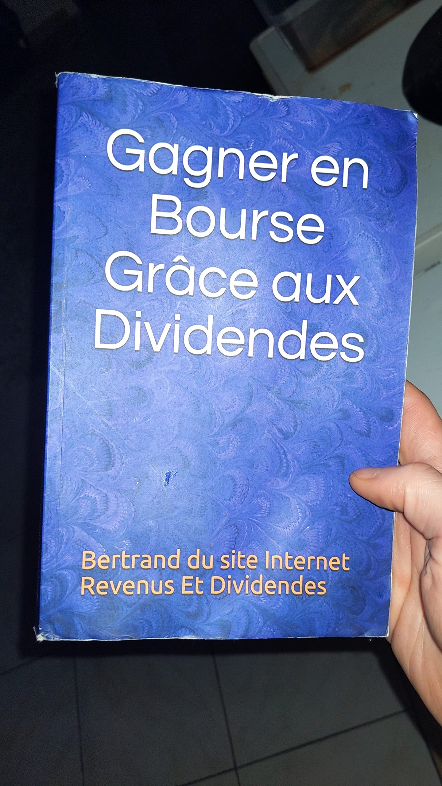 Gagner en Bourse Grâce aux Dividendes