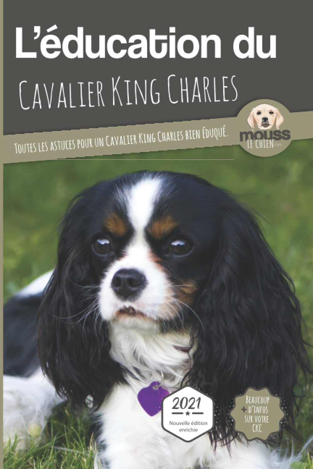 L'éducation du cavalier king Charles : toutes les astuces pour un cavalier king Charles bien éduqué 
