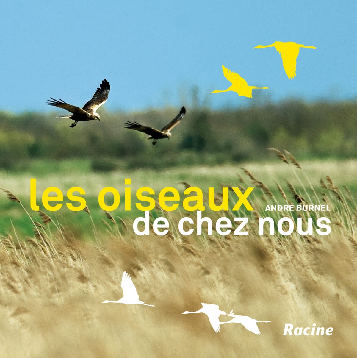 Les oiseaux de chez nous : alouettes, bouvreuils, martinets, geais, cigognes, faucons pèlerins...