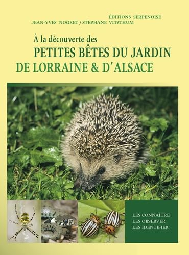 A la découverte des petites bêtes du jardin