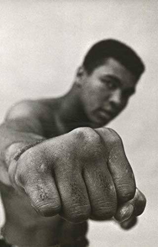 Ali : une vie