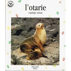 L'Otarie espiègle sirène