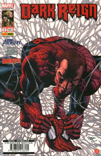 Dark reign. Vol. 12