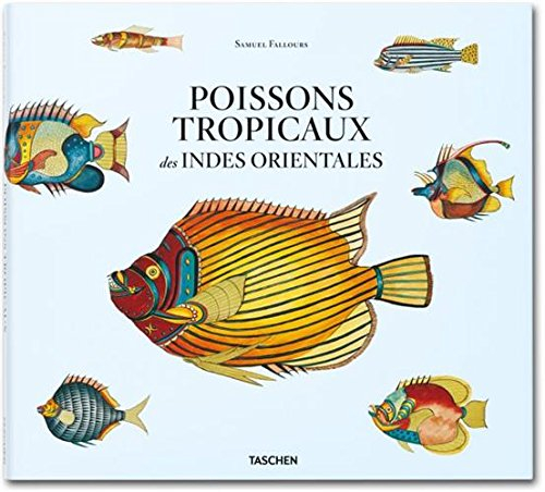 Poissons tropicaux des Indes orientales