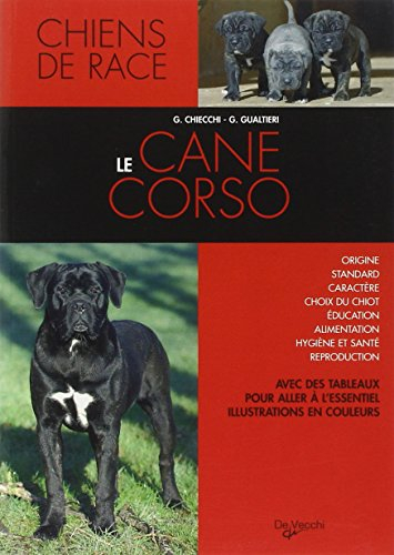 Le cane corso