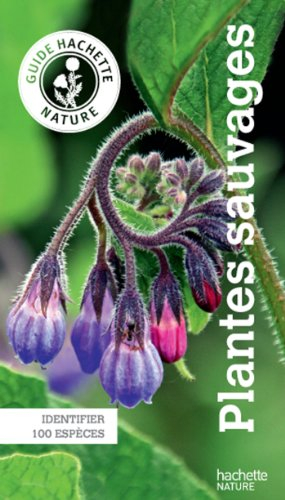 Plantes sauvages : identifier 100 espèces
